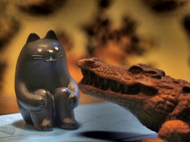 �ܤ��ФäƤʤ��衣