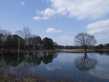水鏡