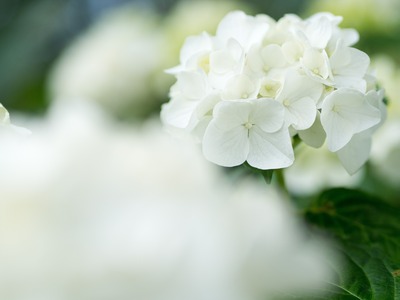 ��Υ���������