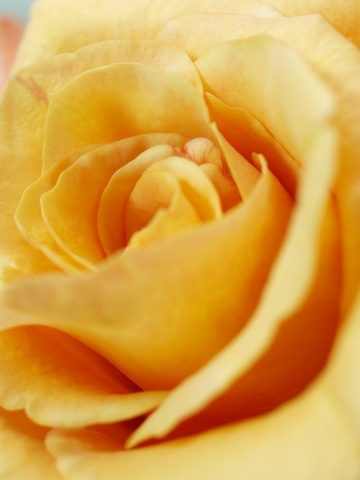 ������ߤ���