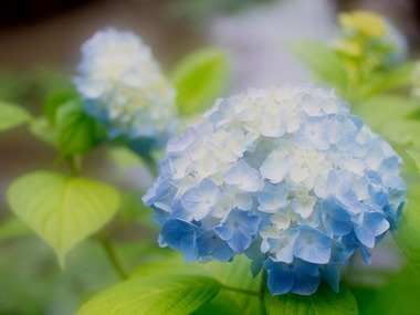 �դ���ܥ�ܥ�