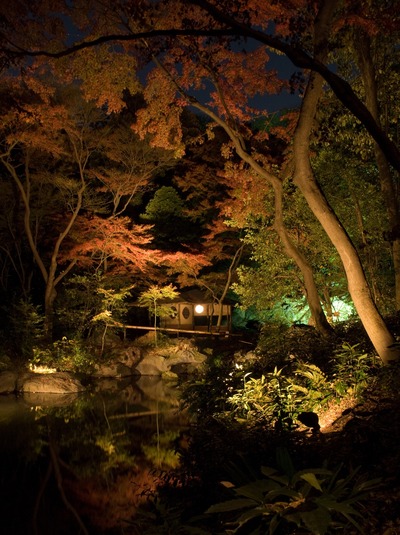 六義園3。