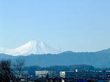 Mt.Fuji