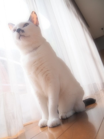�̤���