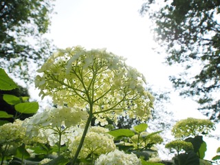 �������ࡣ