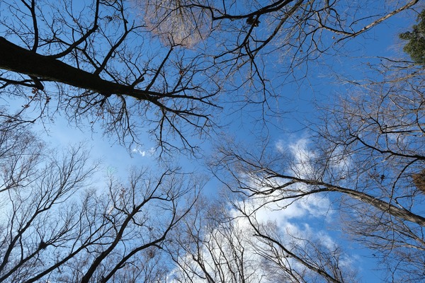 DSCF4753_R