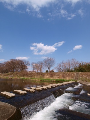 餭֥롼