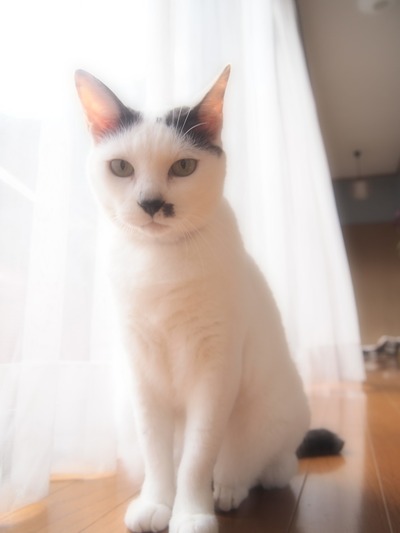 �̤���