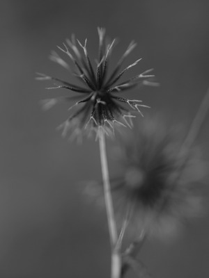 �褯�դ���ġ�