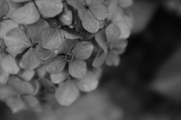 DSCF0502