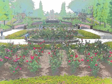 Rose Garden