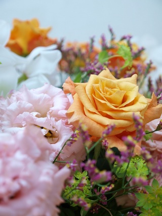 ����󤸤������塣