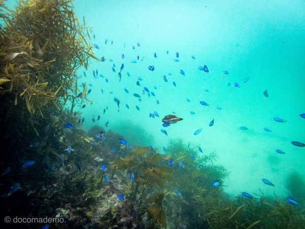 E8FDA6F7-6B1E-40EF-89A0-E77459132200