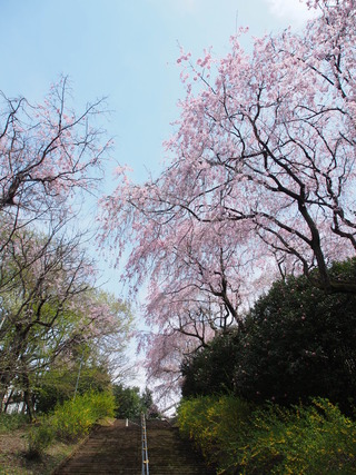 �޿�쥵���顣