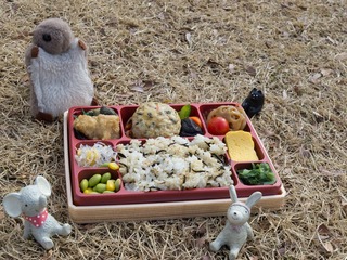 お弁当だよー!