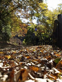山道1