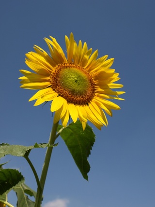 �ޤä������ء�