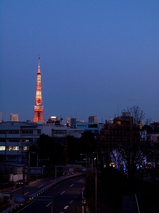 ����ݤ���������