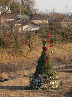 �ɤ�ɾƤ������