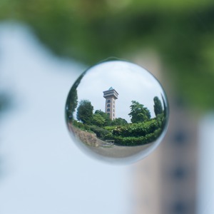 ��̡��������