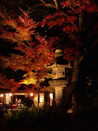 六義園4。