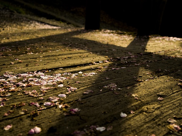 EM125968_rc_R