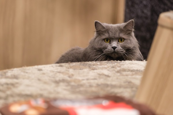 DSCF8151-����-NR_R