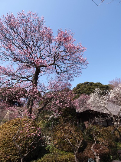 ���β���