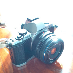 OM-D+2528