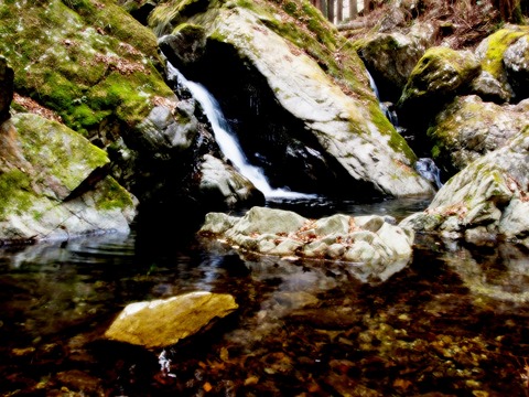清水の川。