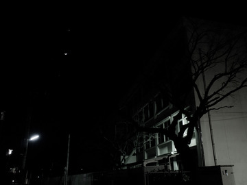 ���ޥ�ƥ��å�ľ��