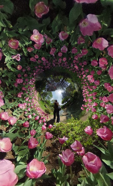 thetaplus_20190505201648433