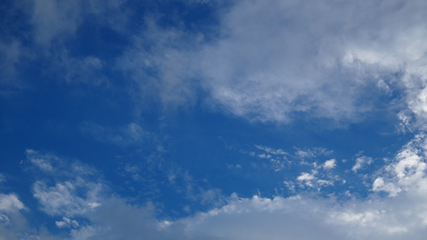 PA080102