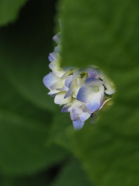 P5280154_R