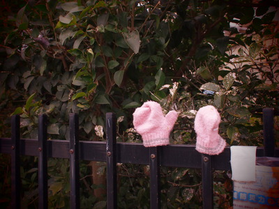 �ߤ�˺��ʪ��