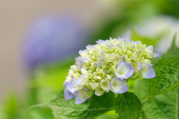 DSCF5559_RS