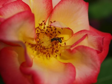 �Ϥ����Ф顣