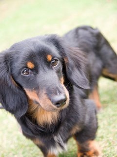 ���å���