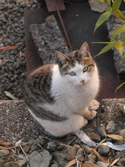 ������������