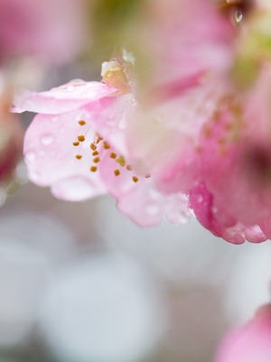 ����ť����顣