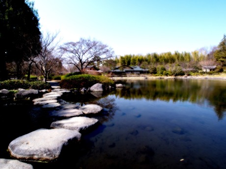 ������ӡ�