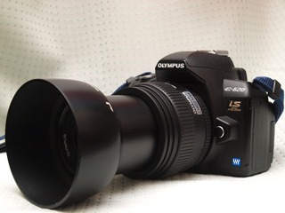 �ˤ硼�󡣾��֡�