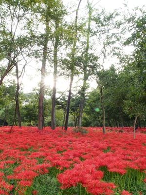 �����ġ�