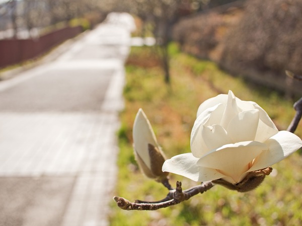 ��ϩ���λ�����