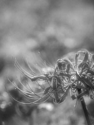 ��Υȡ���μ롣