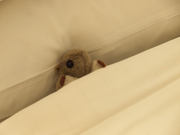 ���䤹�ߤ��󤬡�