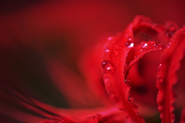 ��ͤΥҥ���Хʡ�