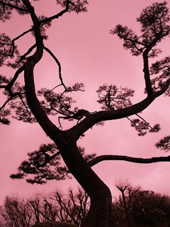 �����������졣