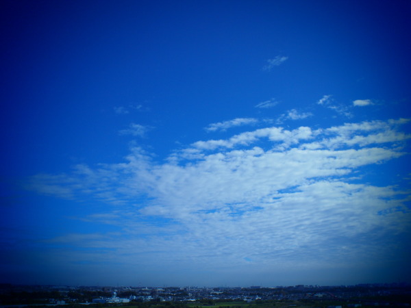 3L101010_rfc