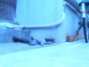 3L281531_rfct2